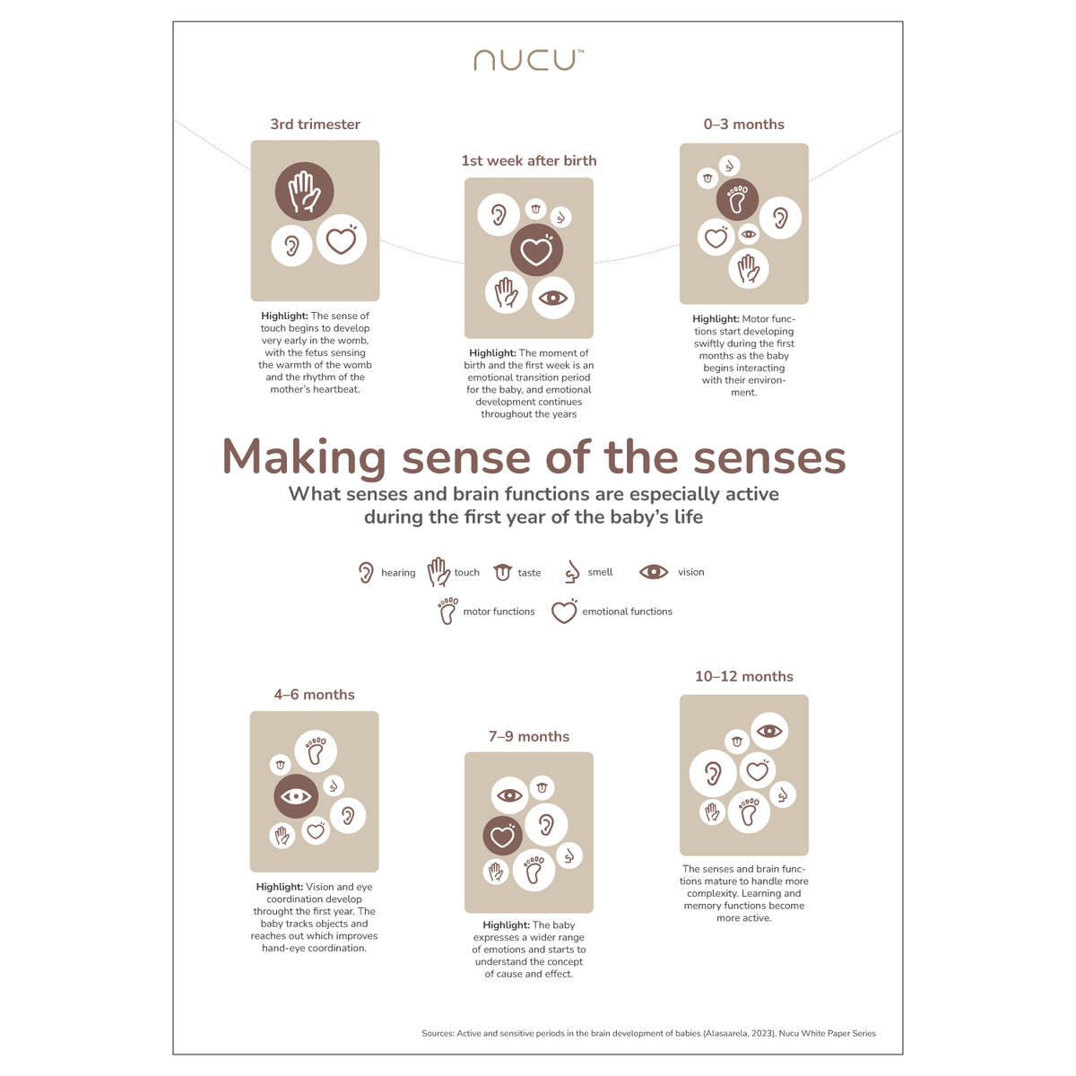 Making sense of the senses